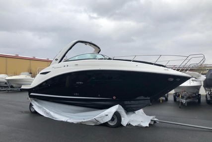 Sea Ray 265 DAE for sale in Germany for €129,900 (£116,521)