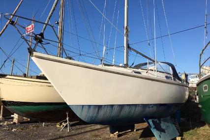 Sadler 29 for sale in United Kingdom for £13,450