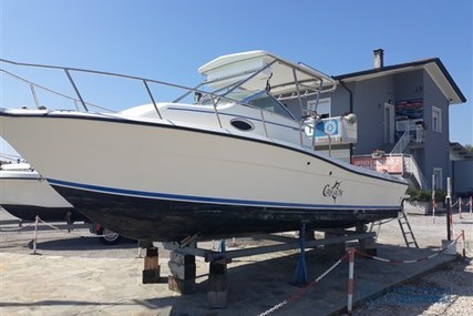 SPORT CRAFT 251 WAC for sale in Italy for €25,000 (£21,512)