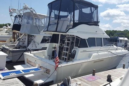 Silverton 34 Convertible for sale in United States of America for $47,900 (£37,948)