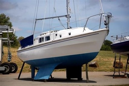 Westerly 25 Centaur for sale in United Kingdom for £8,995