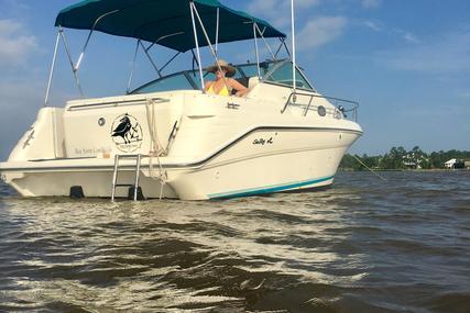 Sea Ray 270 & Boat Trailer for sale in United States of America for $21,900 (£16,871)