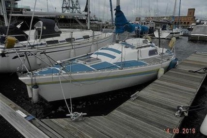 puma 24 puma 24
