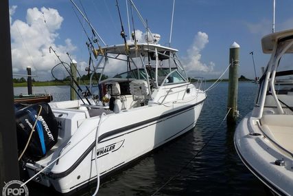 Boston Whaler 275 Conquest for sale in United States of America for $59,000 (£48,250) Boston Whaler 275 Conquest for sale in United States of America for $59,000 (£48,250)