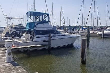 Silverton 34 Convertible for sale in United States of America for $31,700 (£24,646)