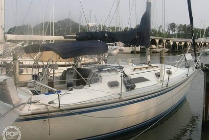 Hunter 31 for sale in United States of America for $15,000 (£11,419)