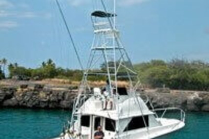 Bertram 38 for sale in United States of America for $245,000 (£186,394)