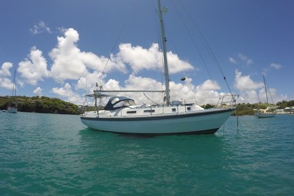Westerly Discus for sale in Grenada for $22,995 (£17,878)