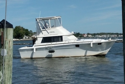 Silverton 37C for sale in United States of America for $36,700 (£28,533)