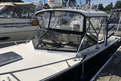 Albemarle 24 for sale in United States of America for $18,000 (£13,867)