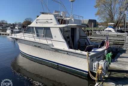 Silverton 34 Convertible for sale in United States of America for $11,250 (£8,685)