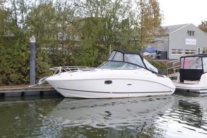 Sea Ray 260 Sundancer for sale in United Kingdom for £39,950