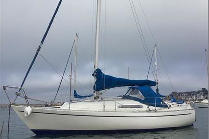 Sadler 25 for sale in United Kingdom for £5,500