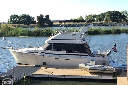 Bayliner EXPLORER 3270 - Double Cabin Flybridge Motor Yacht for sale in United States of America for $26,500 (£20,448)