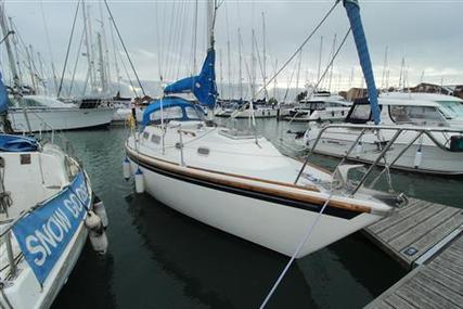 Westerly Griffon - Bilge Keel for sale in United Kingdom for £12,000