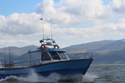 Cygnus Cyfish 33 for sale in United Kingdom for £47,950