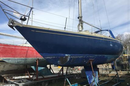 Carter 33 for sale in United Kingdom for £6,950