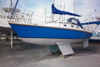 Pacesetter 28 for sale in United Kingdom for £6,500