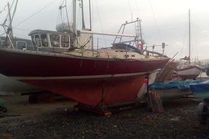 Project Boats Boat Restoration Projects Unfinished Old Boats