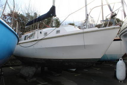 Westerly 26 Centaur for sale in United Kingdom for £4,995